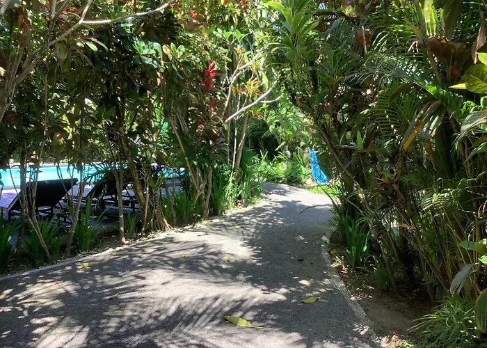 Jungle Hideaway 4 - River Backyard アパート ウブド