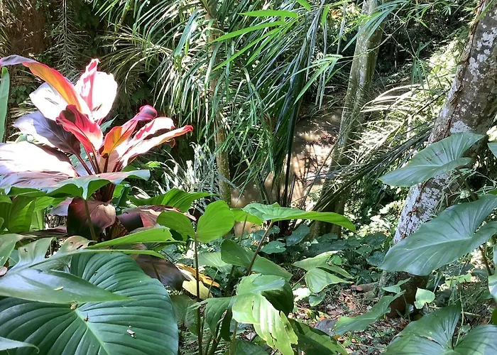 Jungle Hideaway 4 - River Backyard * ウブド