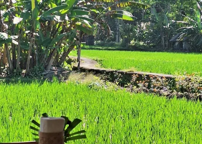 Jungle Hideaway 4 - River Backyard * ウブド