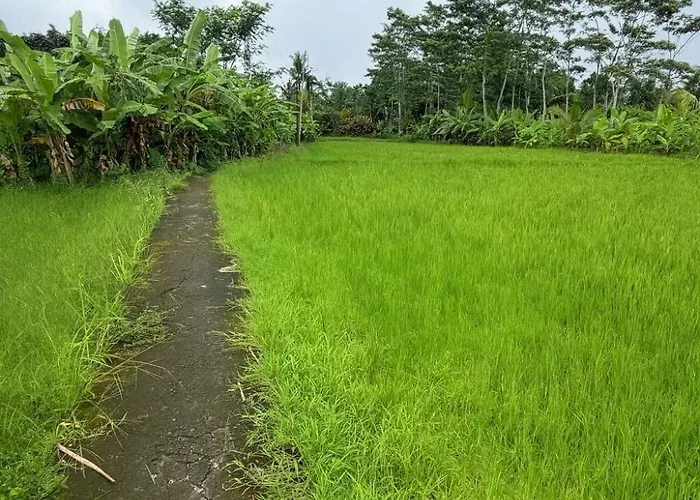 Jungle Hideaway 4 - River Backyard Appartamento Ubud