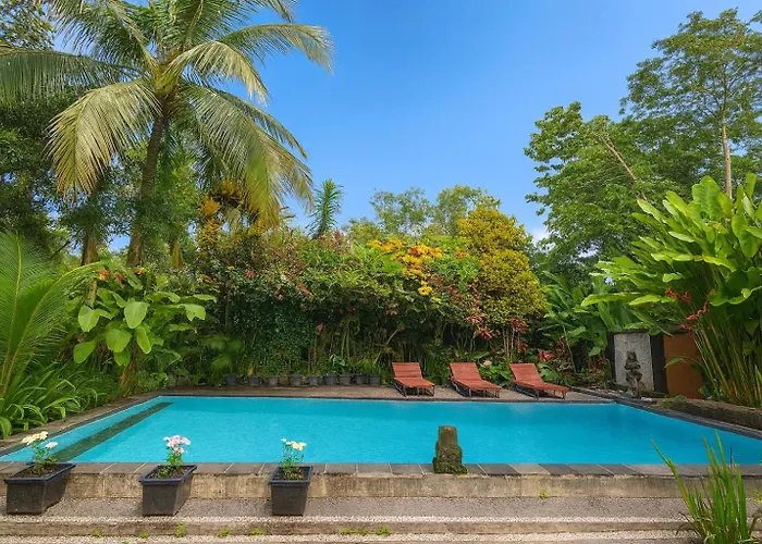 Jungle Hideaway 4 - River Backyard *