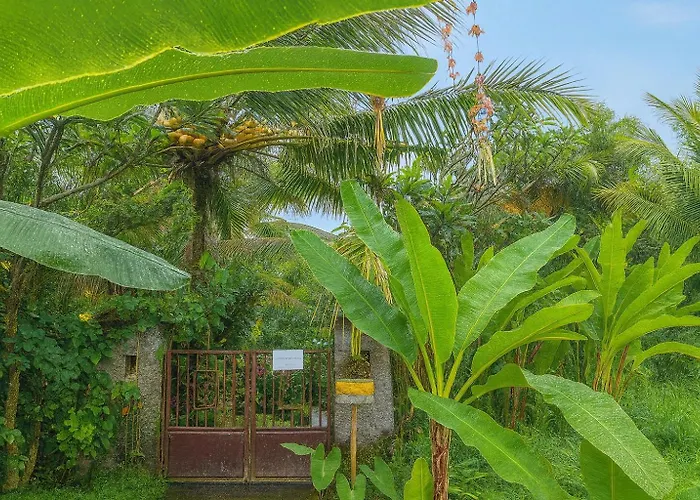 Jungle Hideaway 4 - River Backyard * ウブド