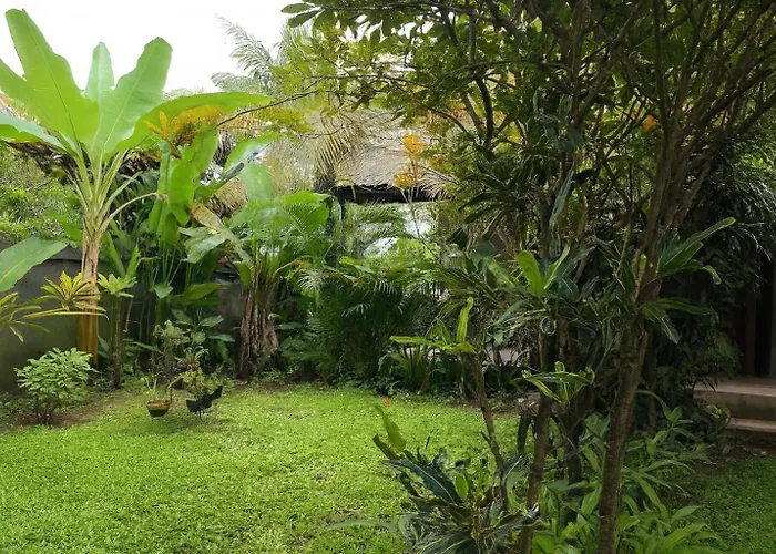 Jungle Hideaway 4 - River Backyard *
