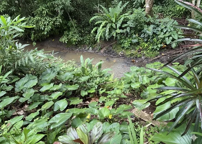 Jungle Hideaway 4 - River Backyard * ウブド