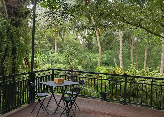 Jungle Hideaway 4 - River Backyard アパート