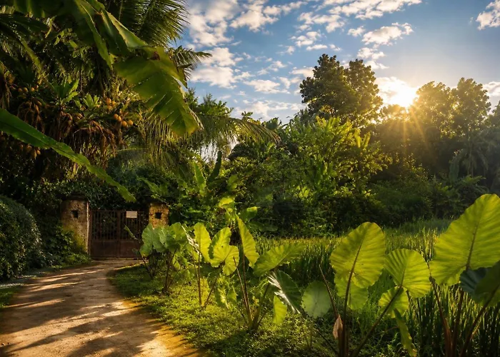 アパート Jungle Hideaway 4 - River Backyard